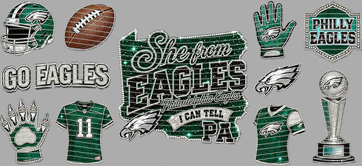 16oz team-NFL 3536